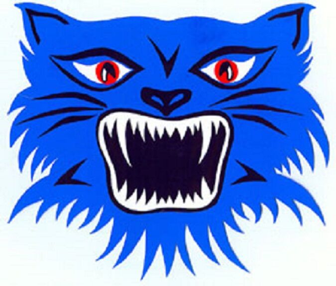 Old Bluecat